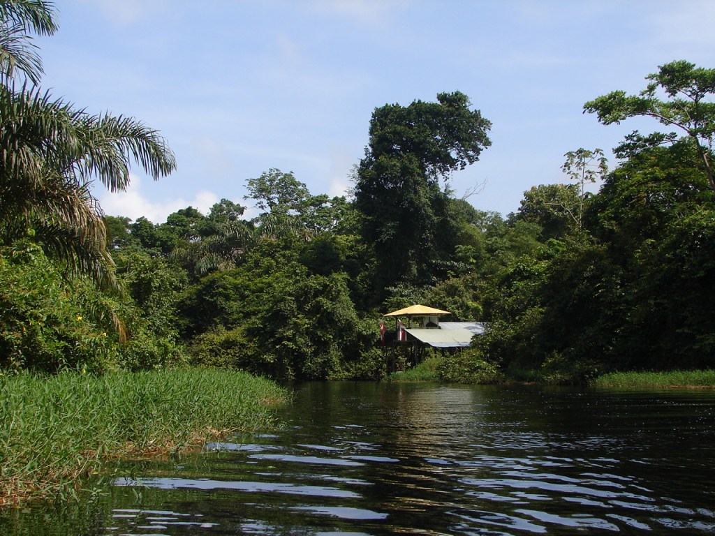 Tortuguero, Costa Rica.