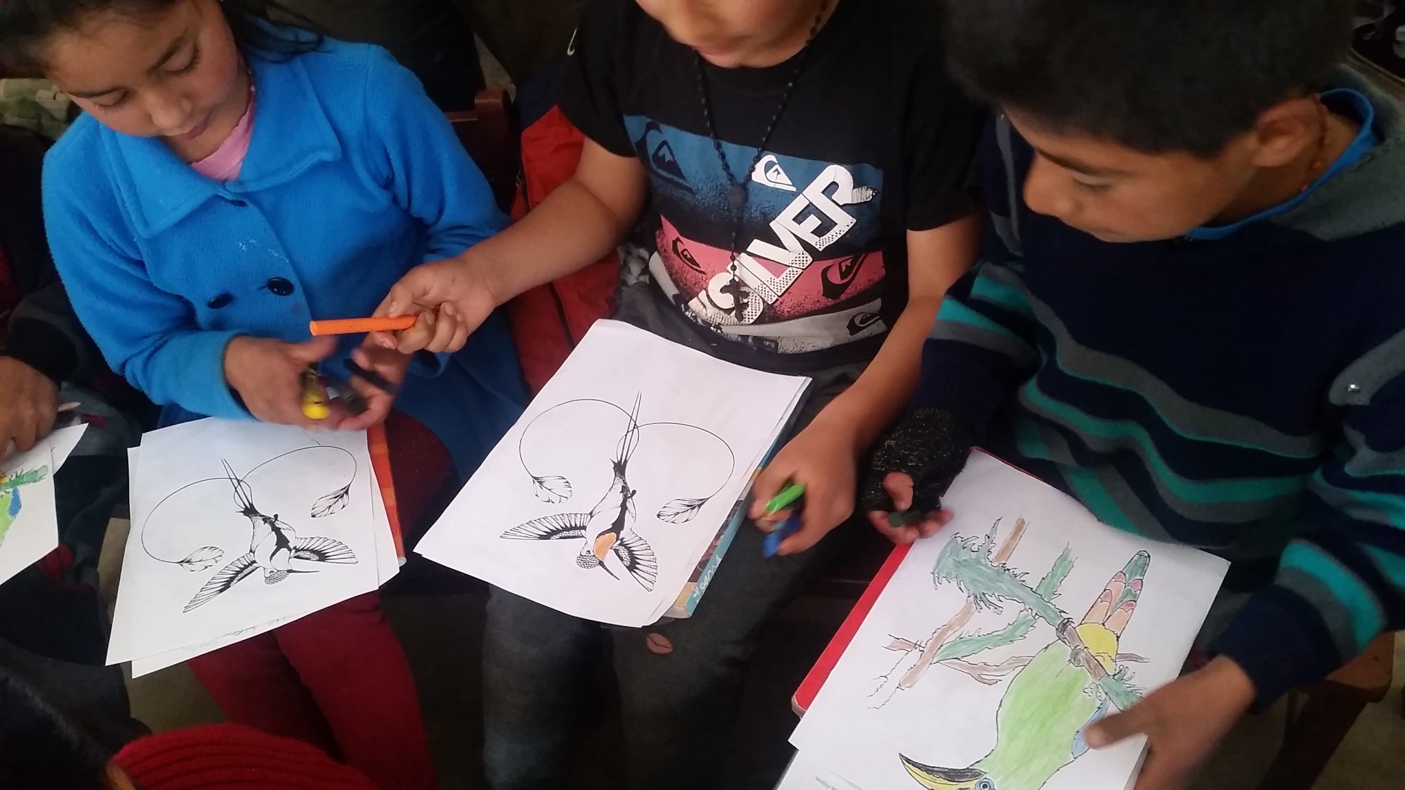 children drawing the marvelous spatulatail