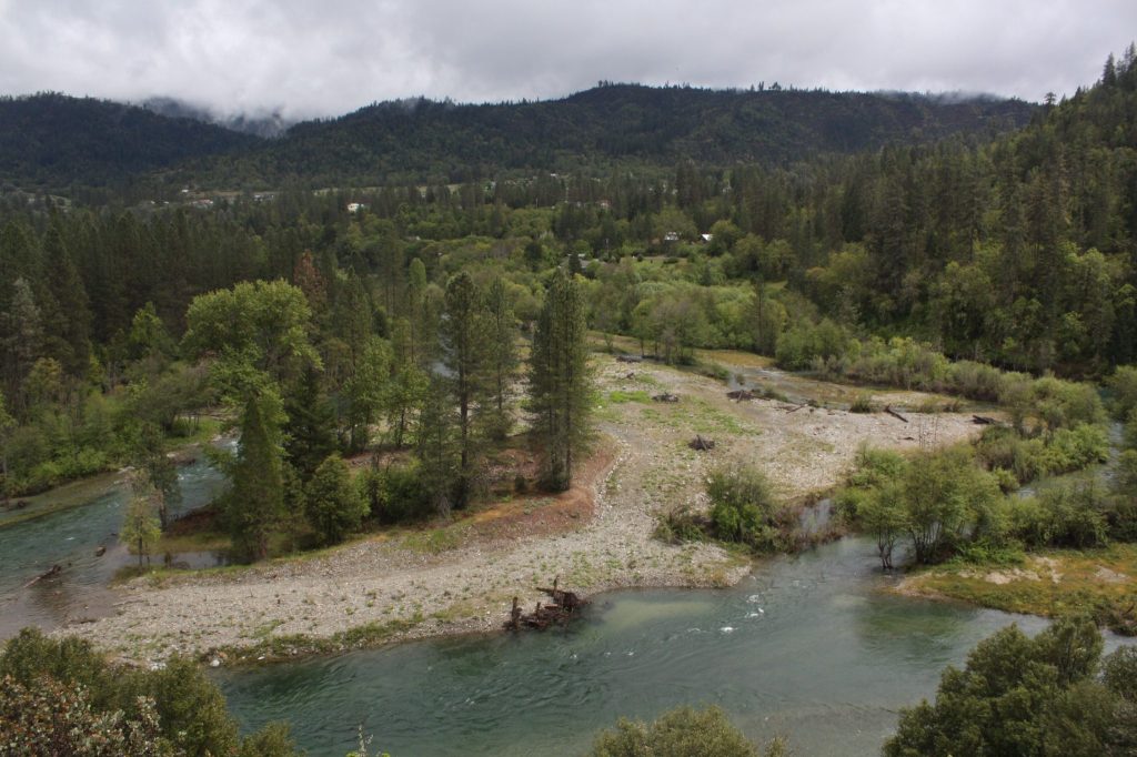 Riparian rehabilitation site on Trinity River.