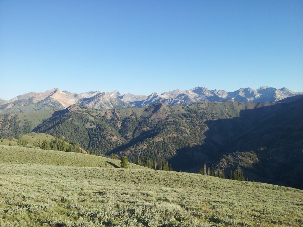 Point counting Idaho.