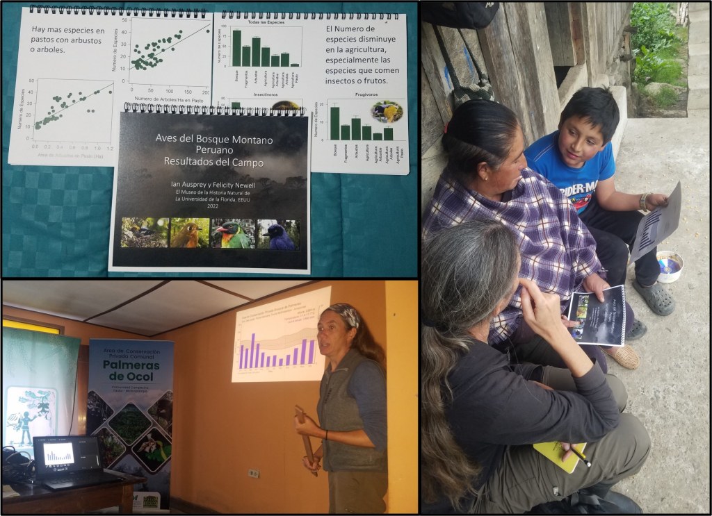 Returning Results to the Field in&nbsp;Peru