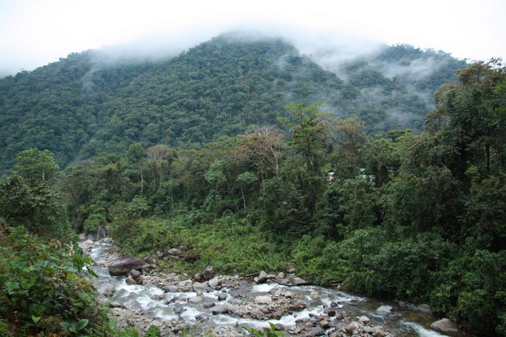 San Pedro in the Manu, Peru.