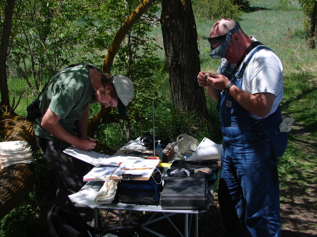 Banding with Bob Frey.