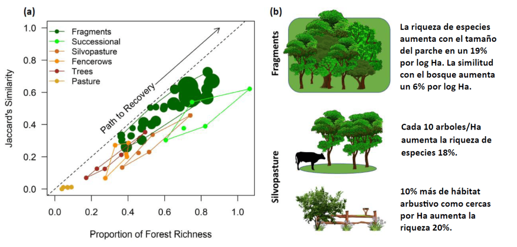 Conservation Research Published in Conservation&nbsp;Biology