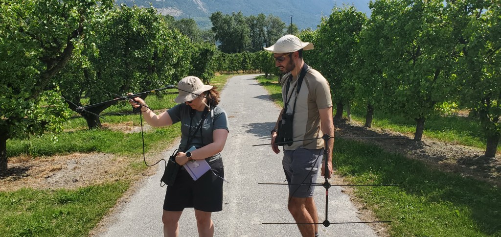 Summer field seasons&nbsp;conclude